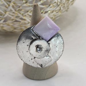 Anillo AN0006