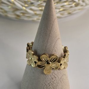 Anillo AN0055