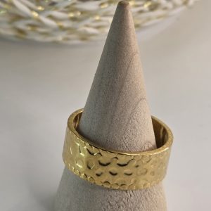 Anillo AN0059