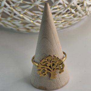Anillo AN0101