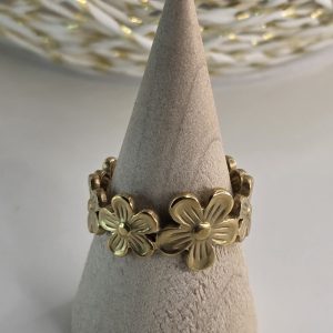 Anillo AN0137